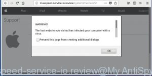 maxspeed-service-io.review