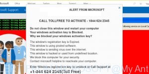 VIRUS ALERT FROM MICROSOFT