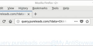 query.pureleads.com