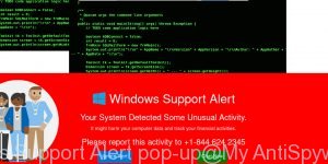 Virus Support Alert pop-up