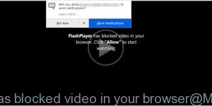 FlashPlayer has blocked video in your browser