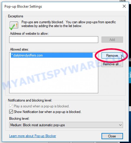 Internet Explorer 2022 Annual Visitor Survey browser notifications removal
