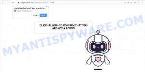 Captcha Checkout virus