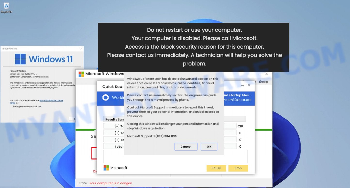 Your computer is disabled. Please call Microsoft.SCAM