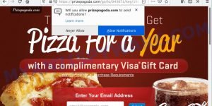 Prizepagoda.com scam