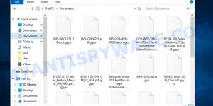 Ggyu file virus