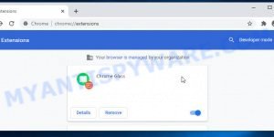 Chrome Glass Extension virus