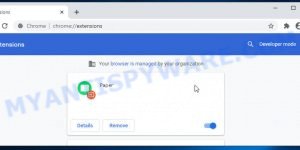 Paper Chrome Extension Virus