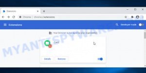 Card Browser Extension Virus