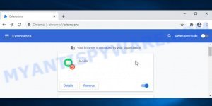 Handle Browser Extension Virus