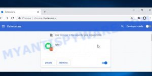 NAV Browser Extension virus