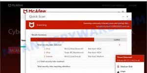 Piran.live McAfee fake scan