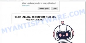 Pushy Captcha Virus Click Allow Scam