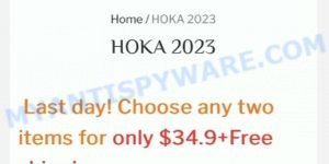 Outlet-shoes2023-us.com Hoka Scam