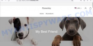 Rossolay.com scam store