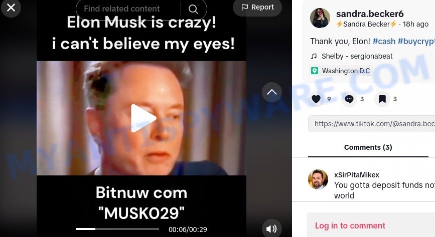 TikTok ElonMusk BTC scam