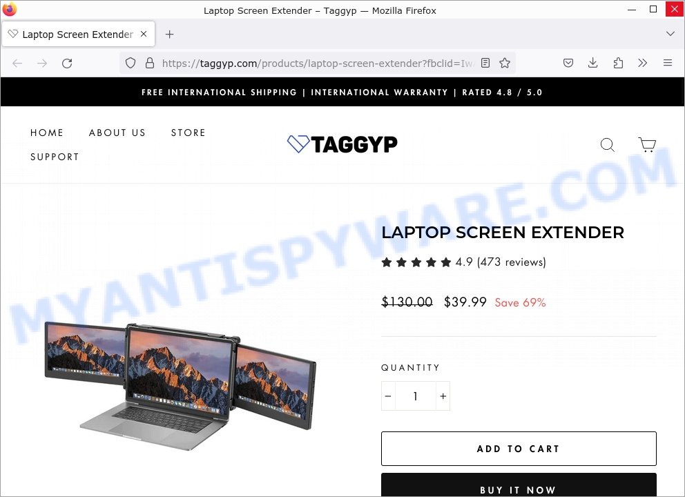 Taggyp.com Laptop Screen Extender Scam