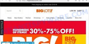 BigLotsDiscounts.com Big Lots clearance sale Scam