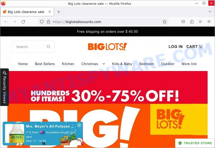 https://www.myantispyware.com/wp-content/uploads/2023/11/BigLotsDiscounts.com-Big-Lots-clearance-sale-Scam.jpg