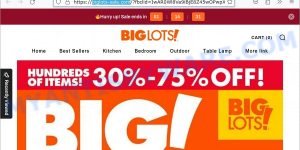 Biglots-sale.com scam