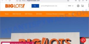 Biglowonsale.com Big Lots sale scam