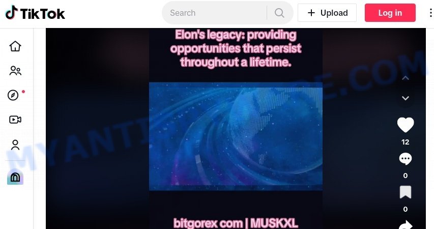 Bitgorex TikTok crypto scam