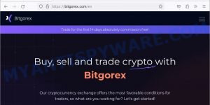 Bitgorex.com