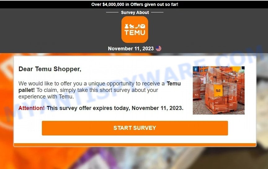 Temu Pallet Email Scam survey