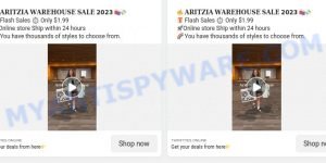 Thriftyes.online Aritzia Warehouse Sale scam ads