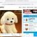 Tommy-robotics.com Realistic Robot Puppy Tommy Scam