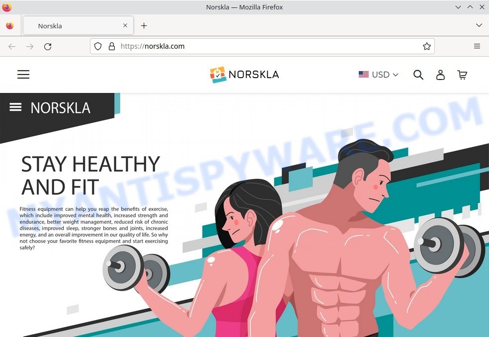 norskla.com shop