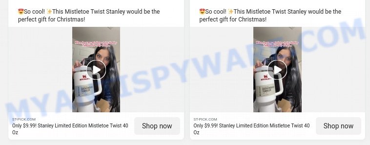 Exposing The Viral $5.99 Stanley Tumbler Clearance Sale Scam