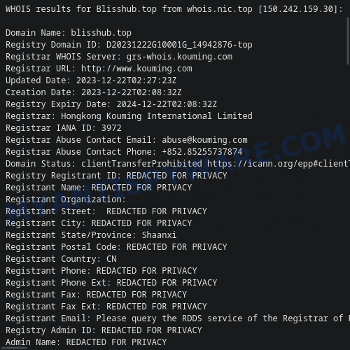 WHOIS Lookup for Blisshub.top
