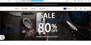 Kitchenwareeu.com Zwìllìng Sale scam store