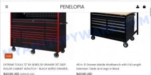 TOOL CLEARANCE SALE Penelopii.com Scam fake THE HOME DEPOT store