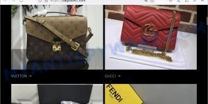 Bagslove1.com scam store