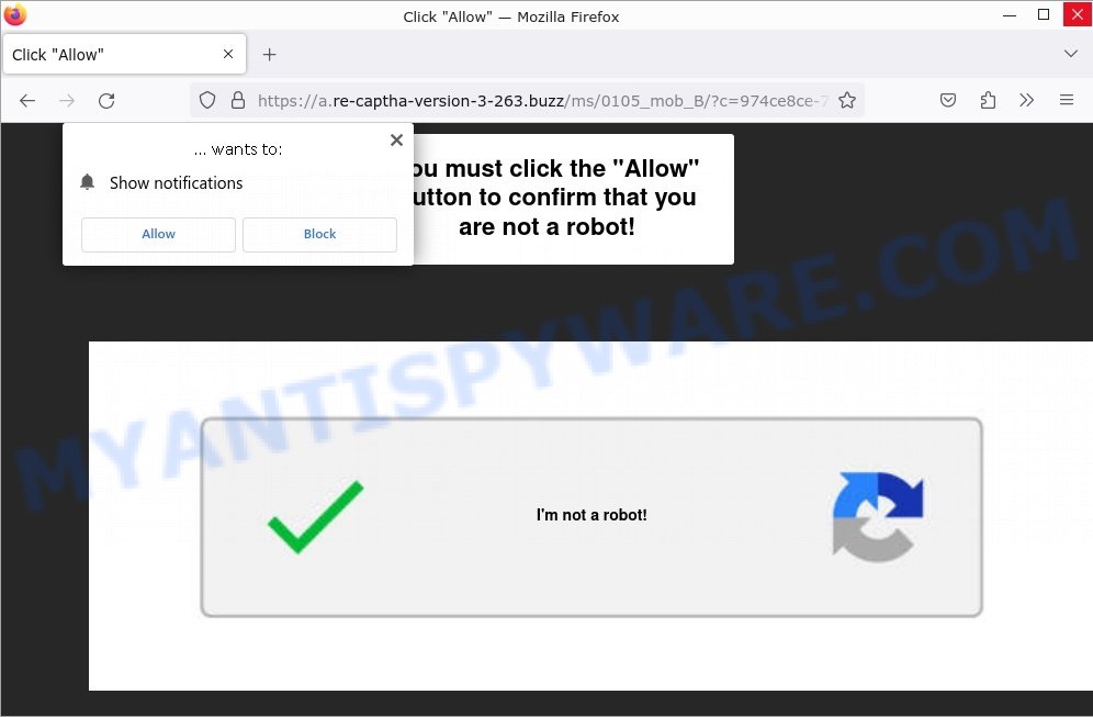 Click Allow Re-captha-version-3-263.buzz scam