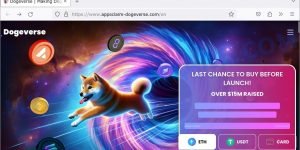 DOGEVERSE Pre-launch Scam