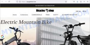 Joygeelse.live fake Bicycles shop scam