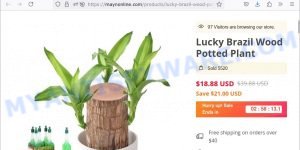 Lucky Brazil Wood Potted Plant Maynonline.com scam