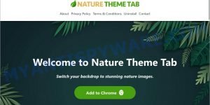 Naturethemetab.com Nature Theme Tab redirect