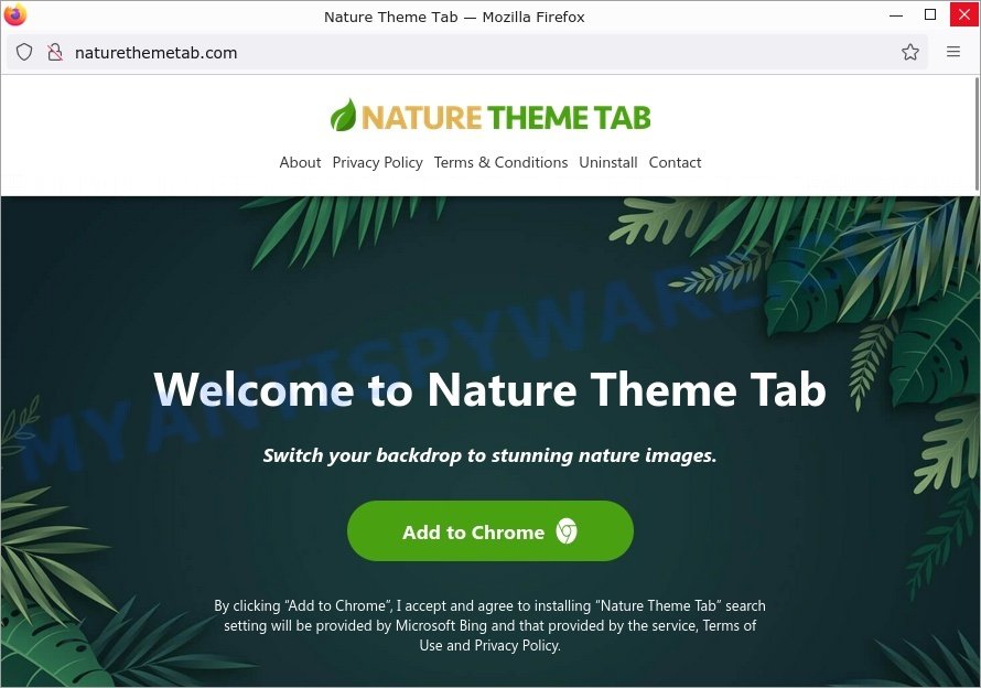 Naturethemetab.com Nature Theme Tab redirect