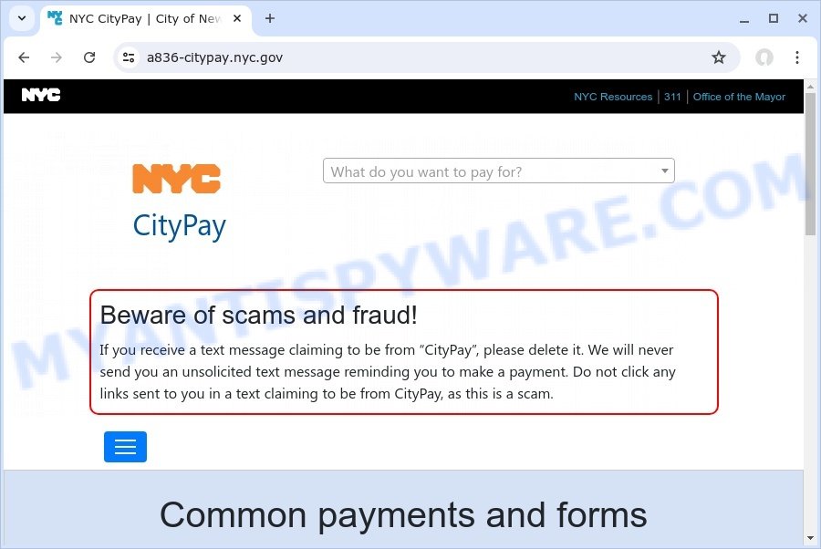 NYC CityPay alert